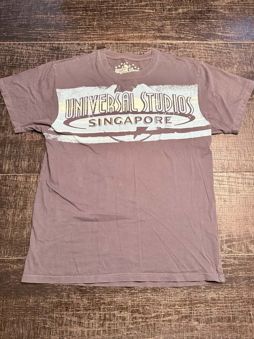 Universal Studios Singapore Brown Graphic T-Shirt Size M